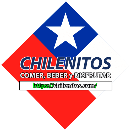 recepcion-secretaria.ves.cl - chilenos - chilenitos